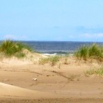 elements-beach-2 eco art kids summer scheme northern ireland