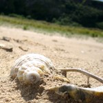 elements-beach-3 eco art kids summer scheme northern ireland